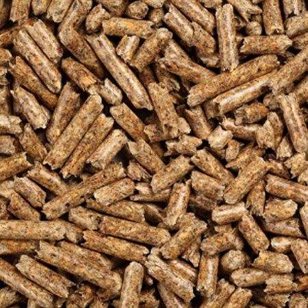 buy hay pellets for bedding online